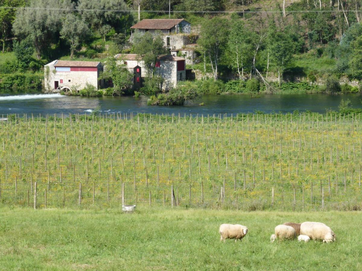 Quinta Do Burgo - Nature Hotel أماريس المظهر الخارجي الصورة