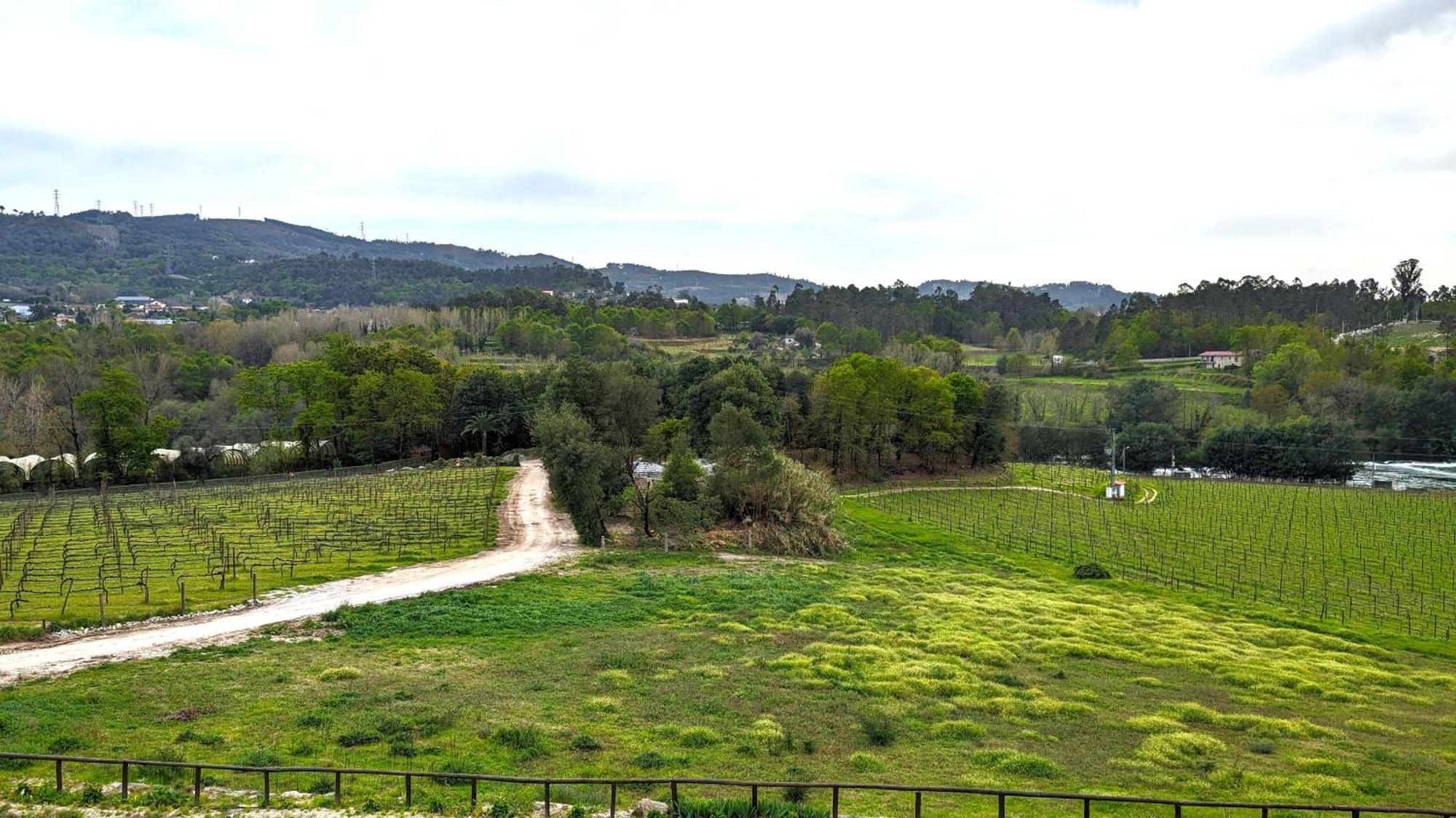 Quinta Do Burgo - Nature Hotel أماريس المظهر الخارجي الصورة